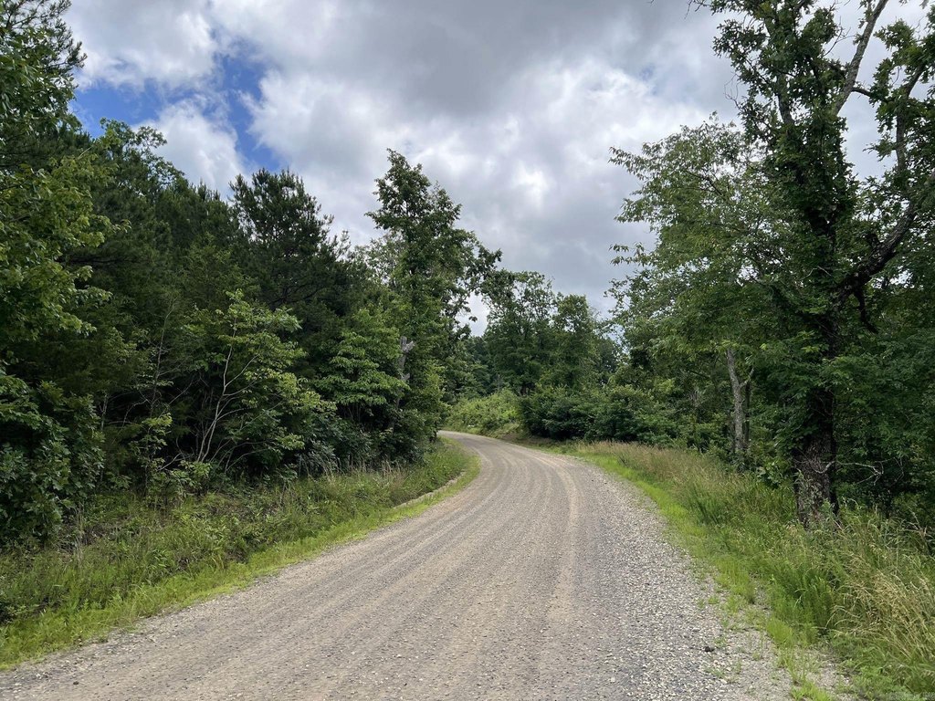 Picture 21
