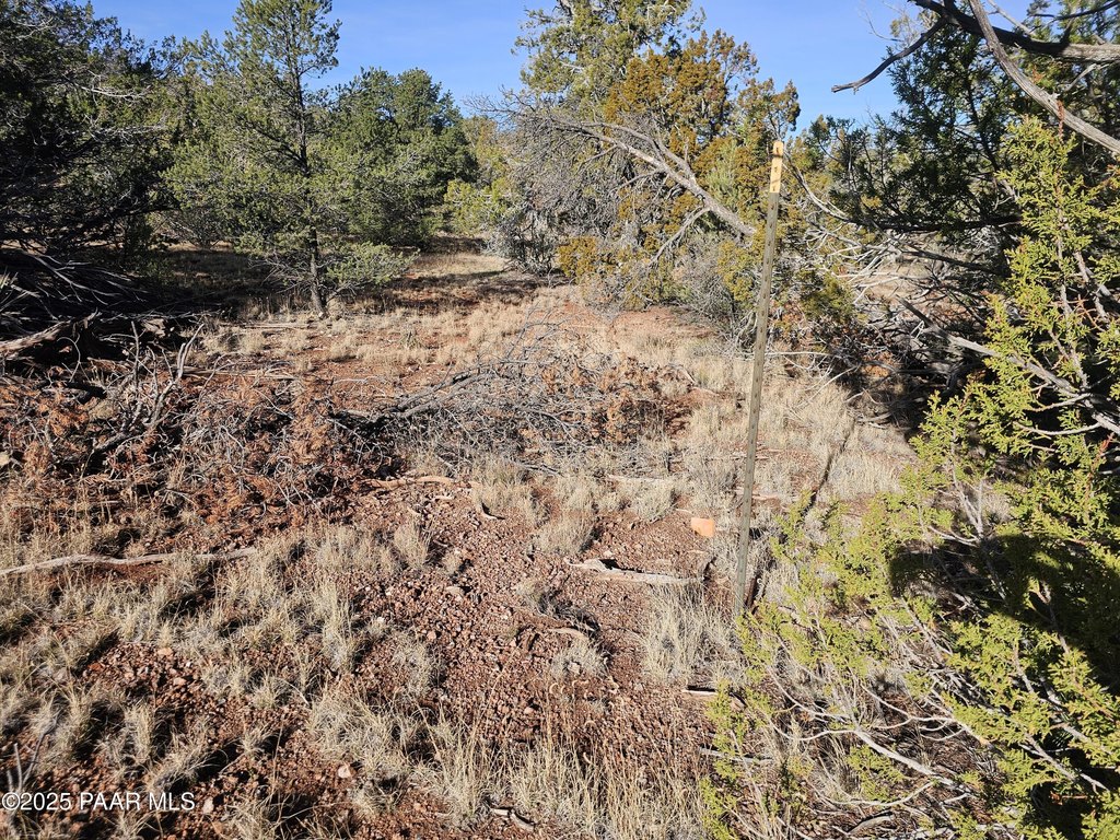 Picture 4