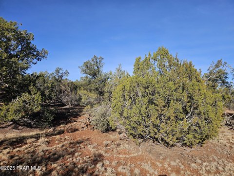 Land, Seligman, AZ