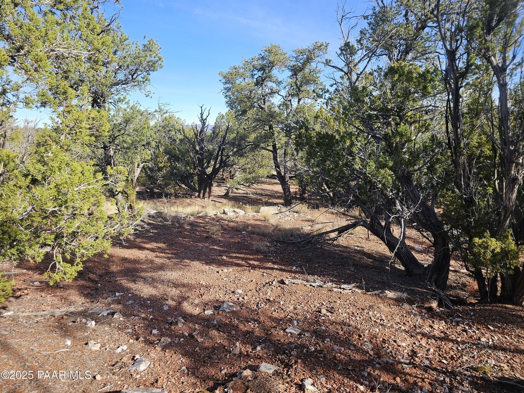 Picture 9