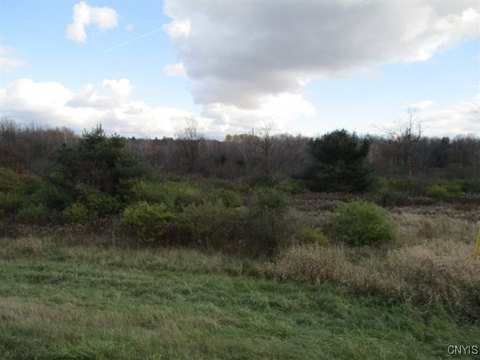 Evans Mills Commercial Land Available