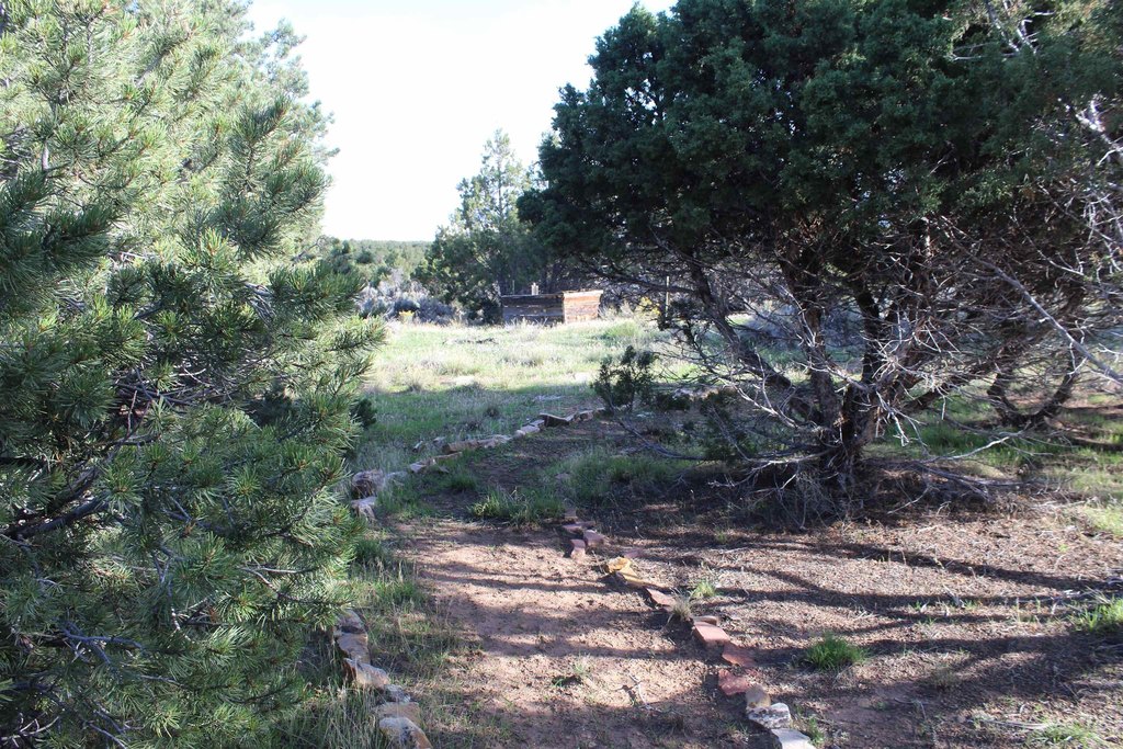 Picture 18