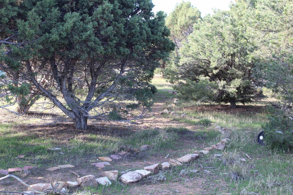 Picture 4