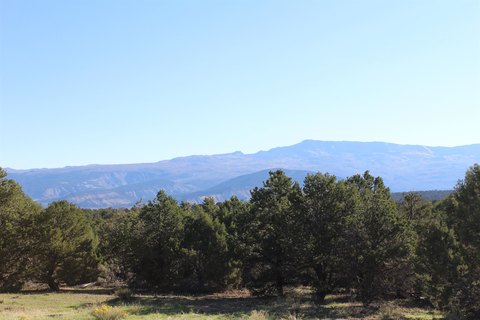 Land, Montrose, CO