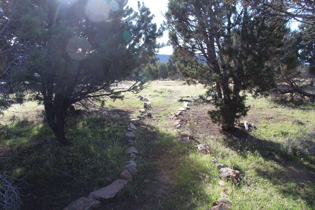 Picture 19