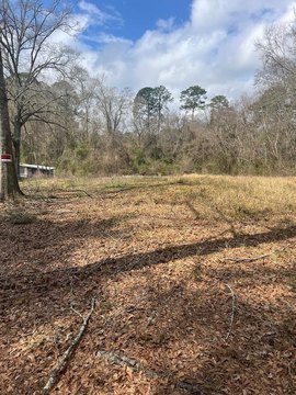 Laurel Homesite Opportunity