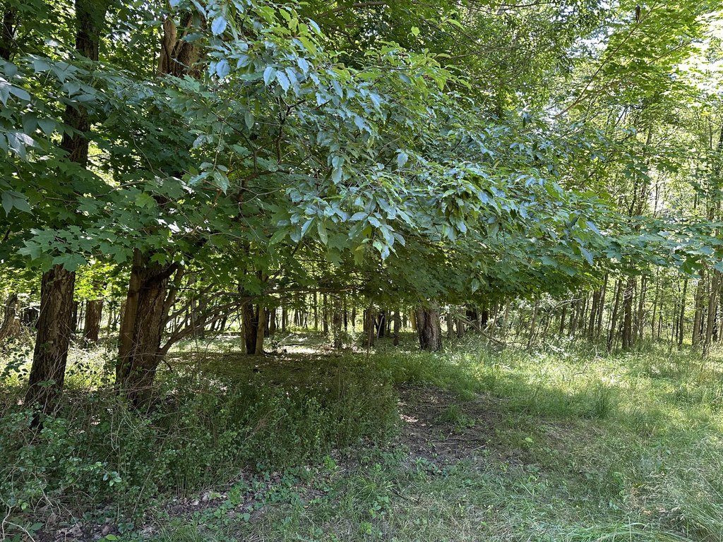 Picture 9
