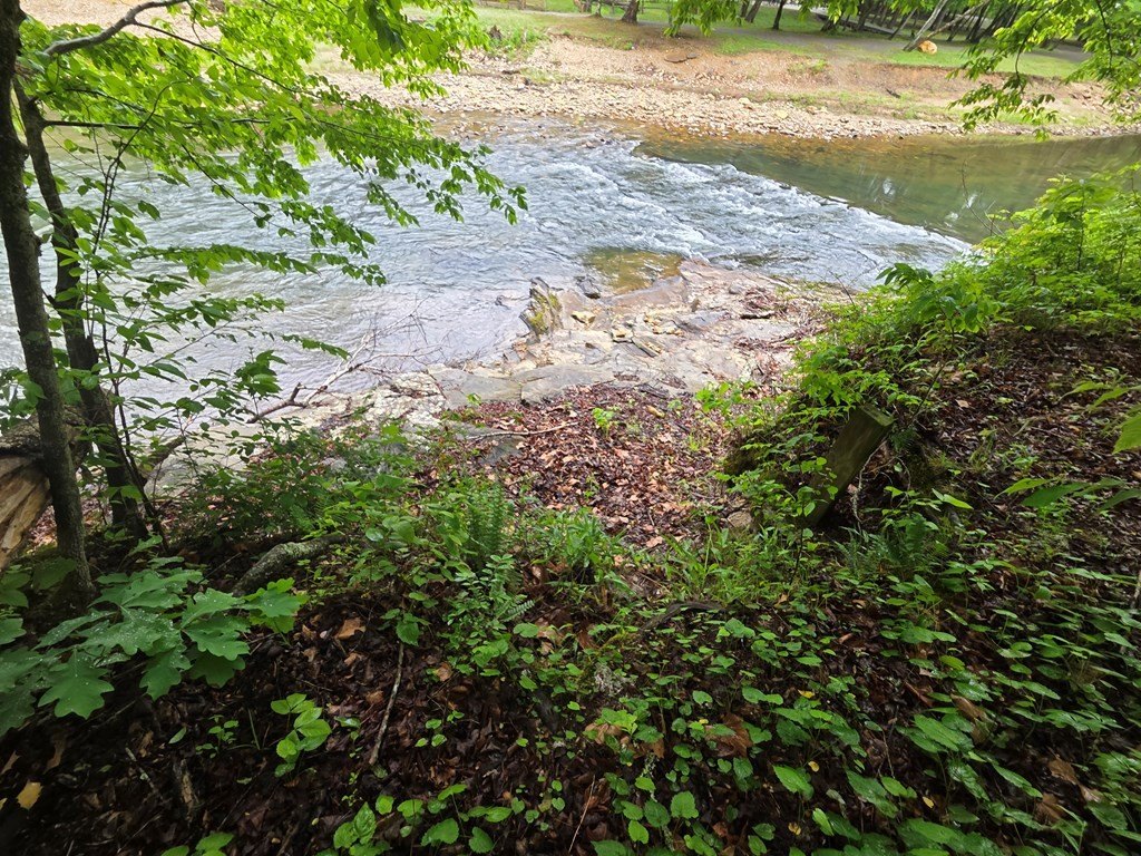 Picture 15