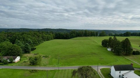 Cleared Land in Piney View