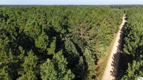 Hunting Land Timber Tract