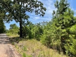Land, Pittsburg, TX