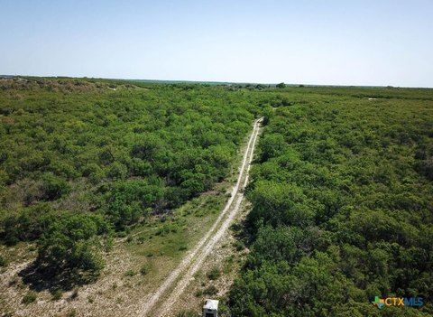 50 Acres in Bee County