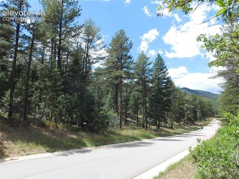 Residential Lot Backing to Open Space