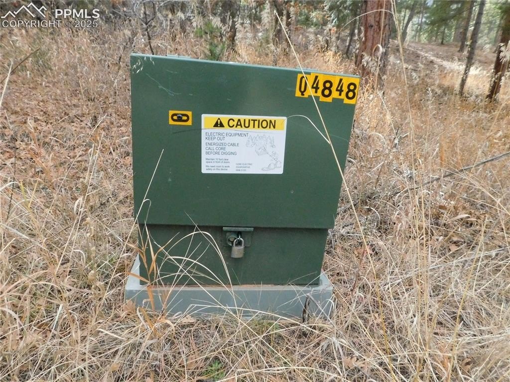Picture 45