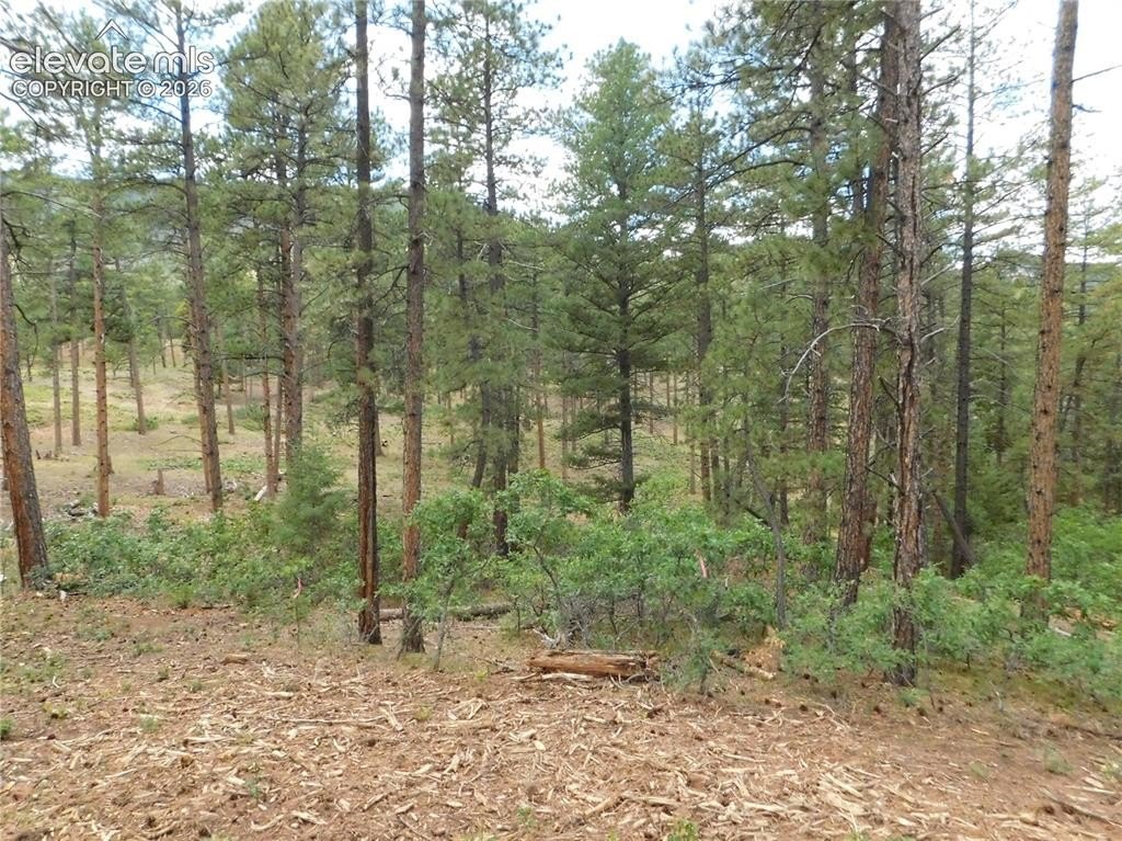 Picture 36