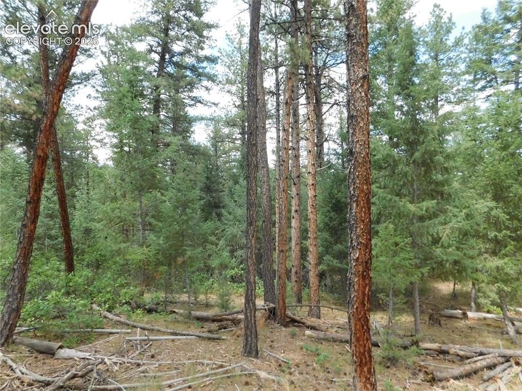 Picture 41