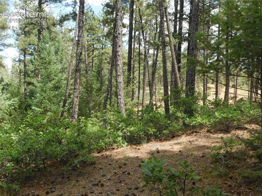 Picture 22