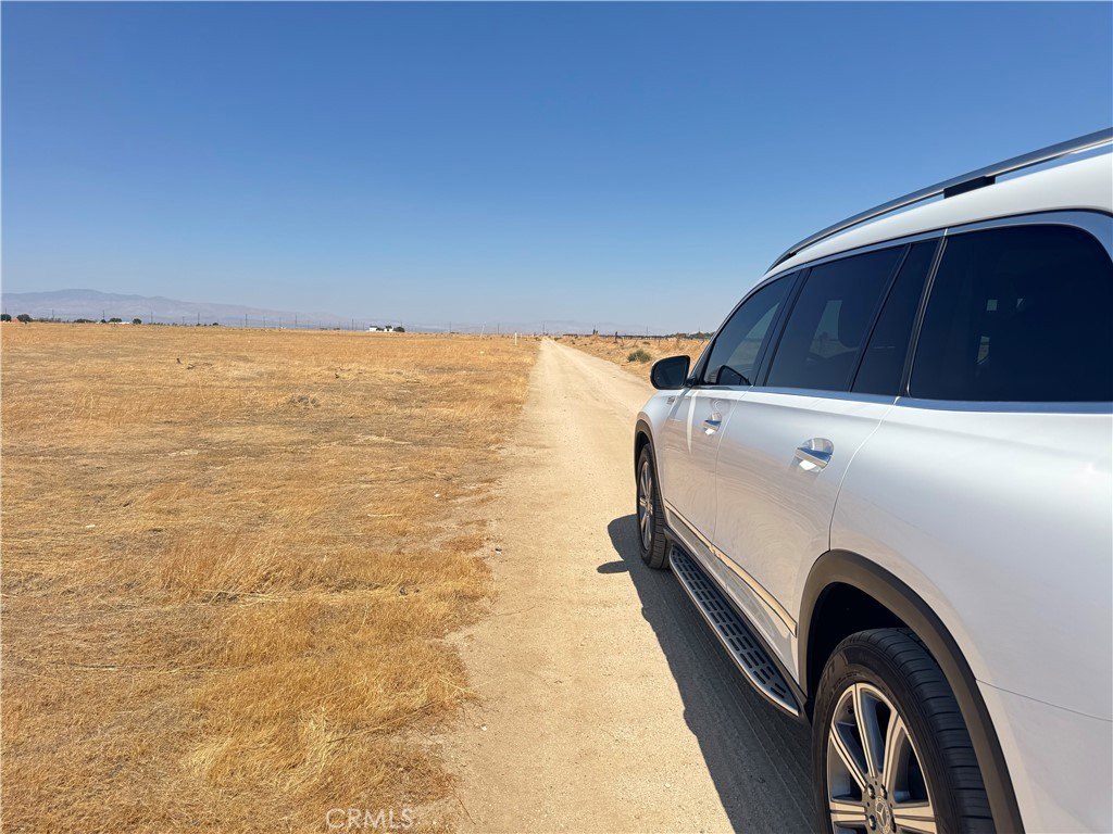 Picture 9