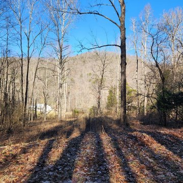 Unrestricted Land in Cowee Community