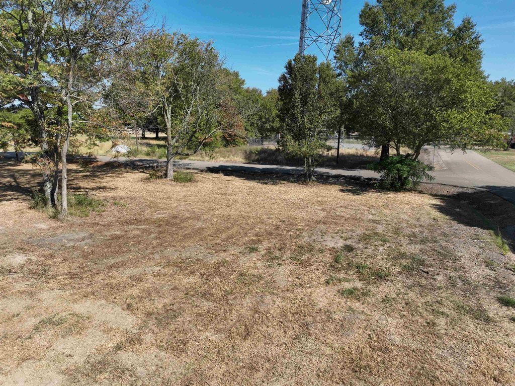 Picture 5