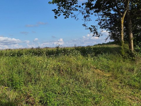 Land, Pleasureville, KY