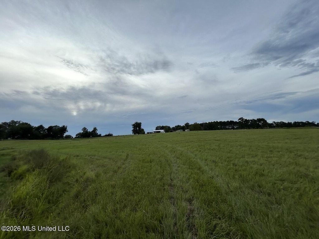 Picture 14