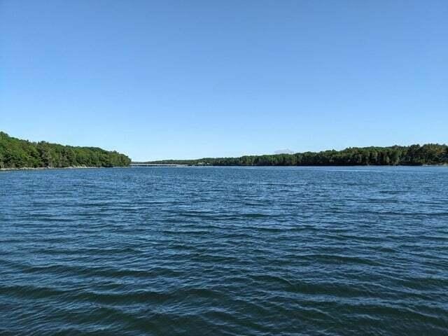 Picture 4