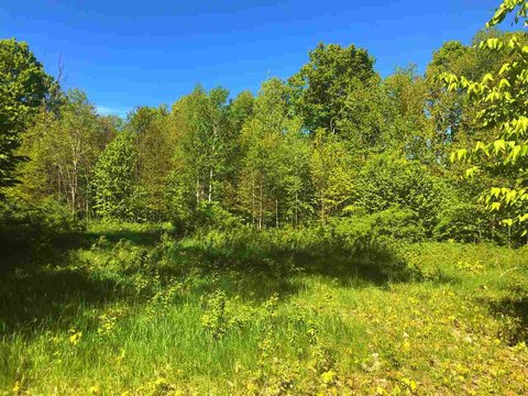 LAND - HARBOR SPRINGS, MI