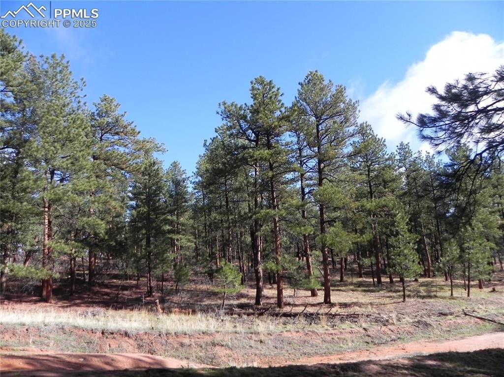 Larkspur Land in Perry Park