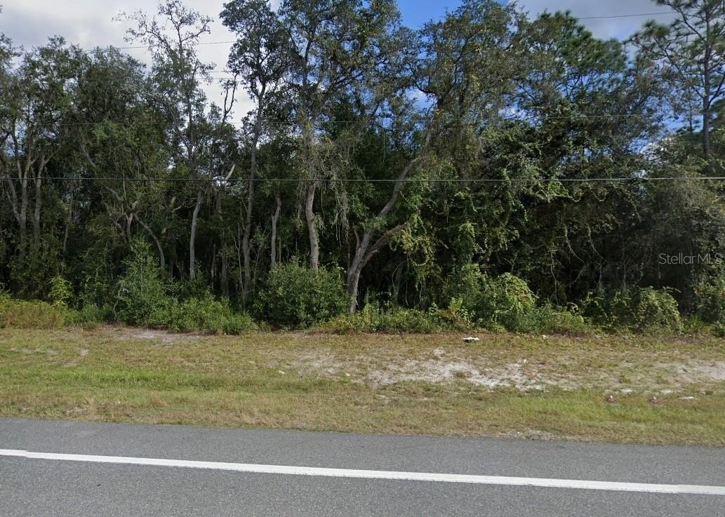 Wooded Lot in Webster, FL