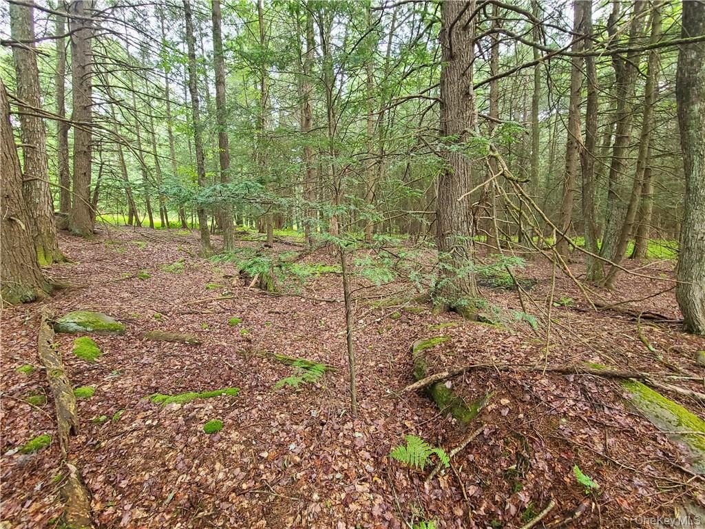 Picture 23