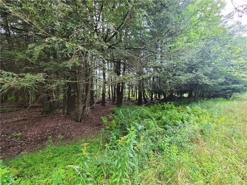 Picture 11