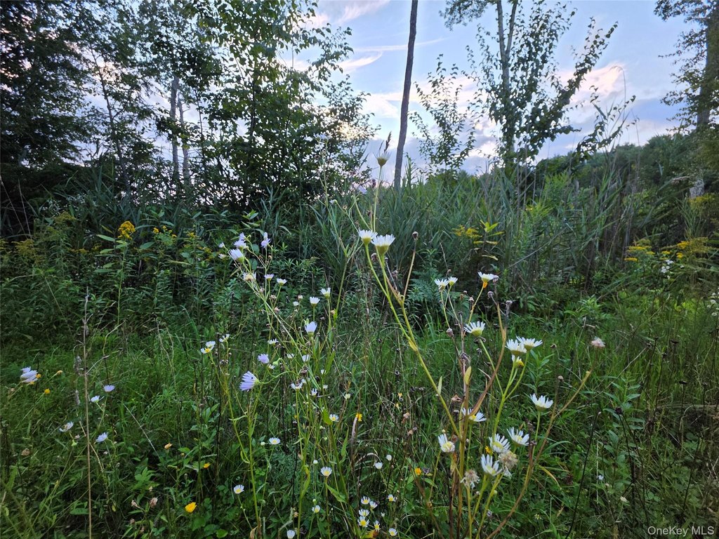 Picture 46
