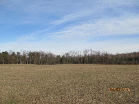 LAND, Potsdam, NY