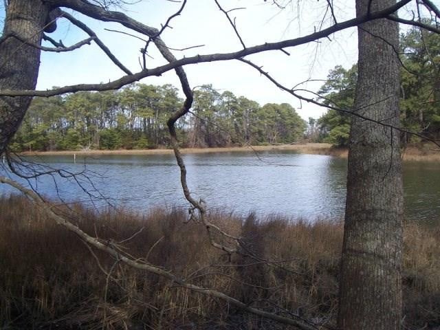 Picture 4