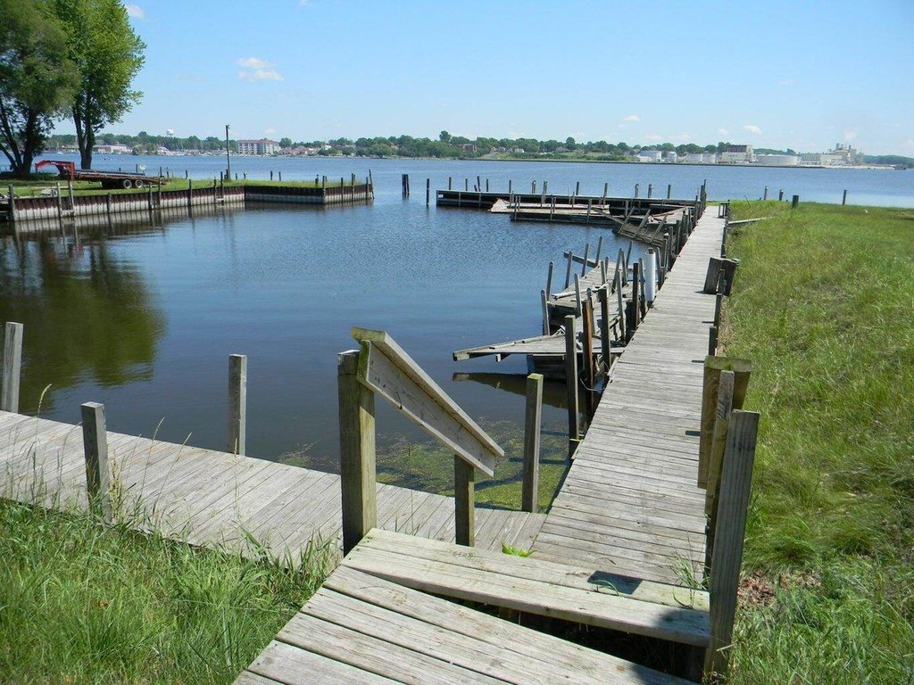 Picture 23
