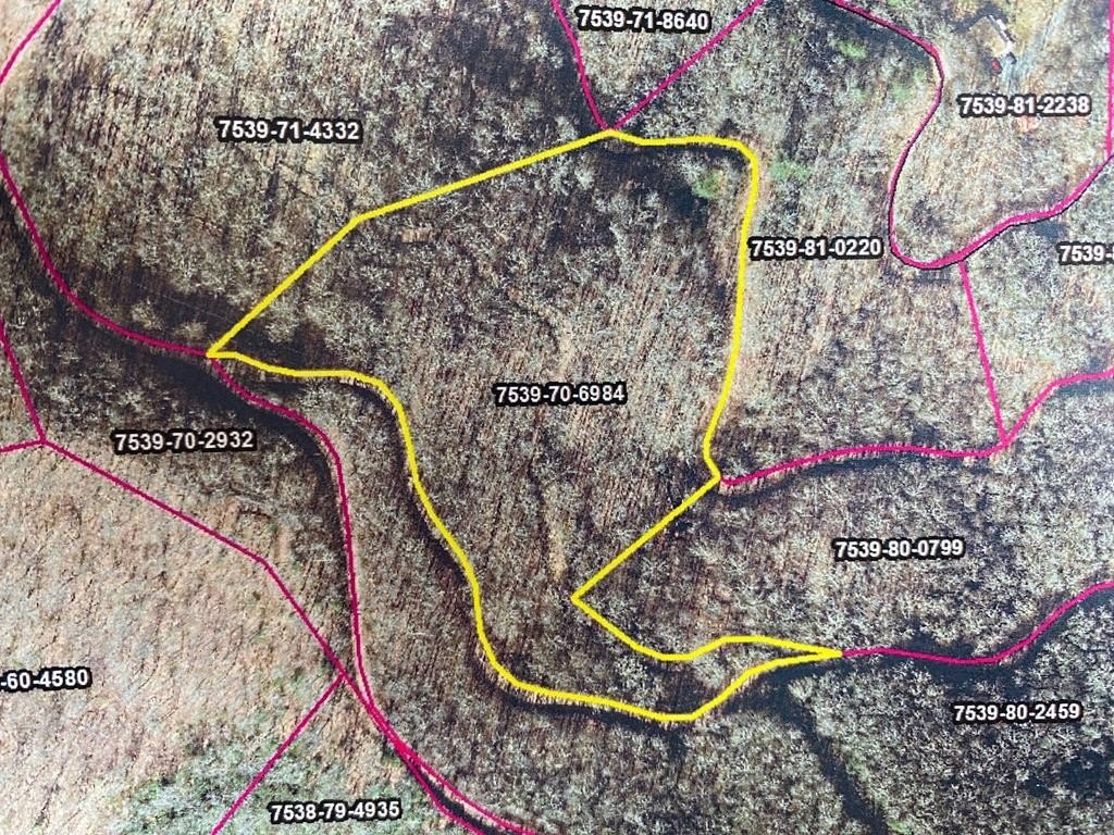 Residential Land Near WCU, Sylva