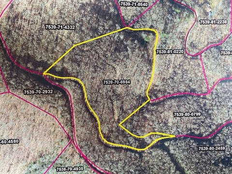 Residential Land Near WCU, Sylva