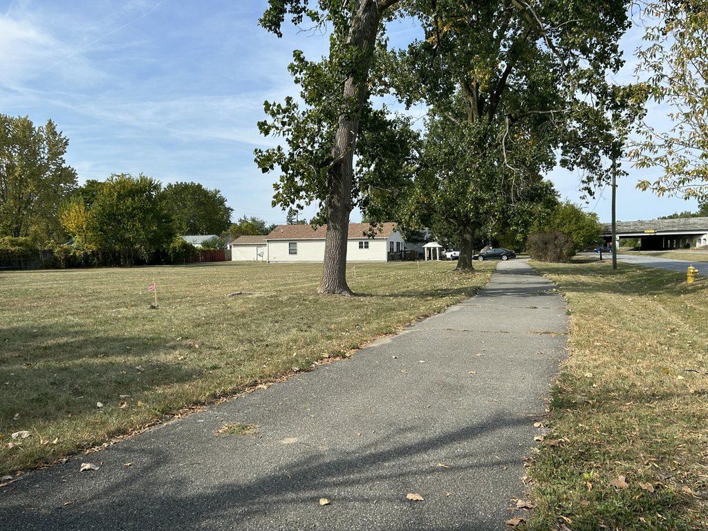 Picture 5