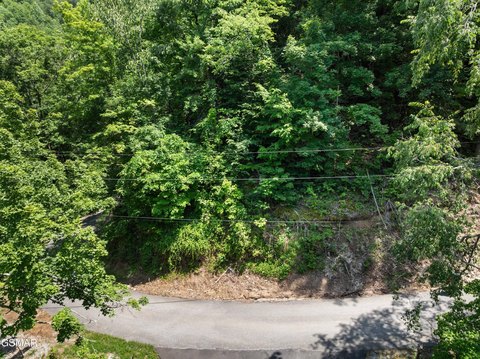 Gated Mountain Community Home Site