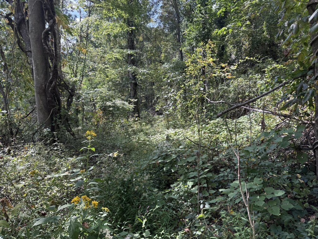 Picture 25