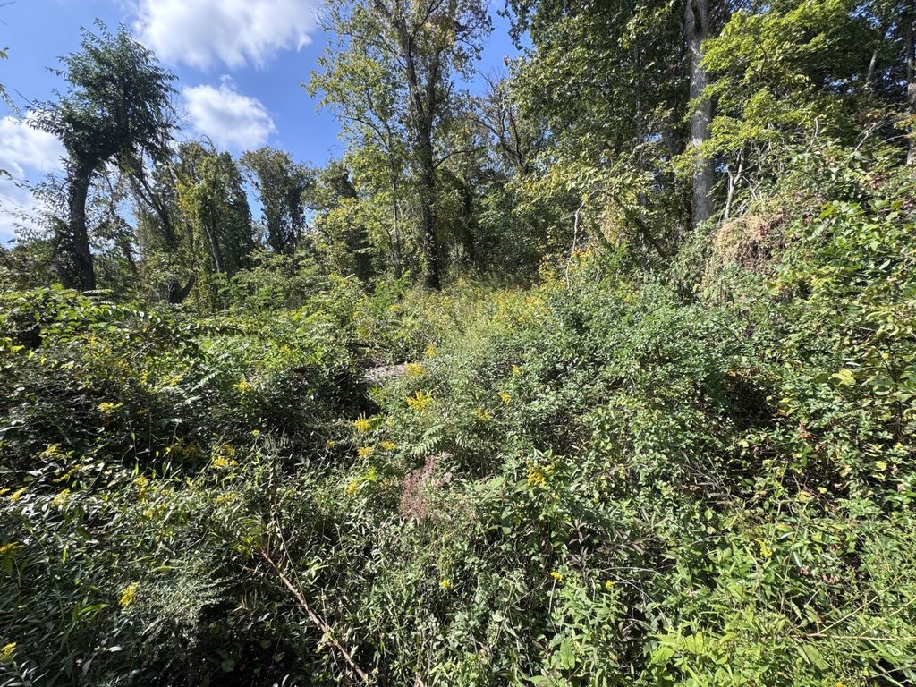 Picture 22