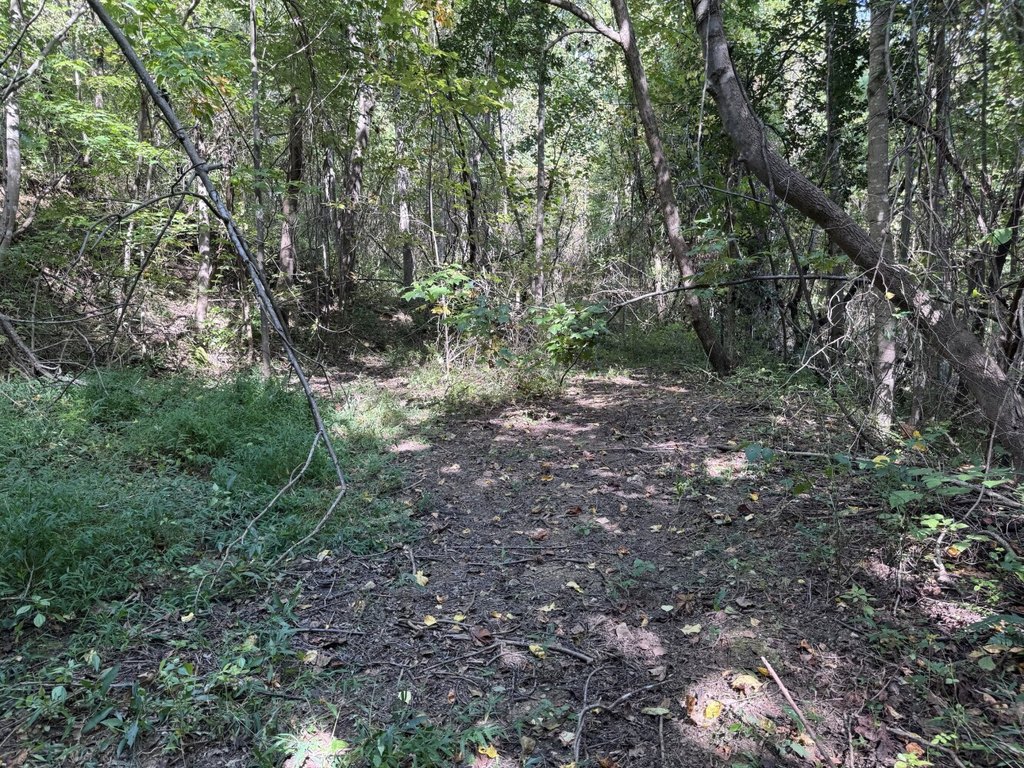 Picture 30