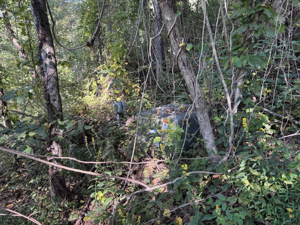 Picture 21