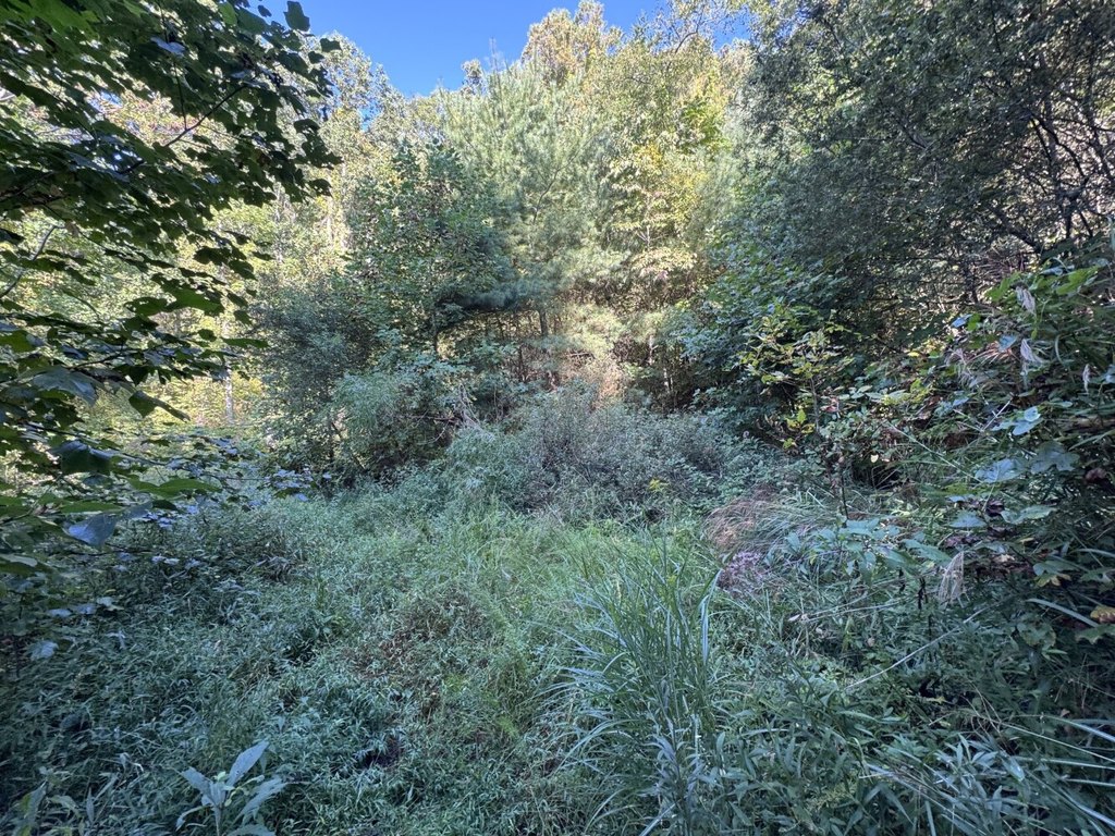 Picture 23