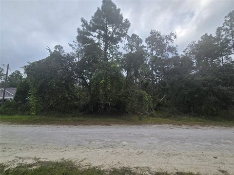 Land, WEEKI WACHEE, FL