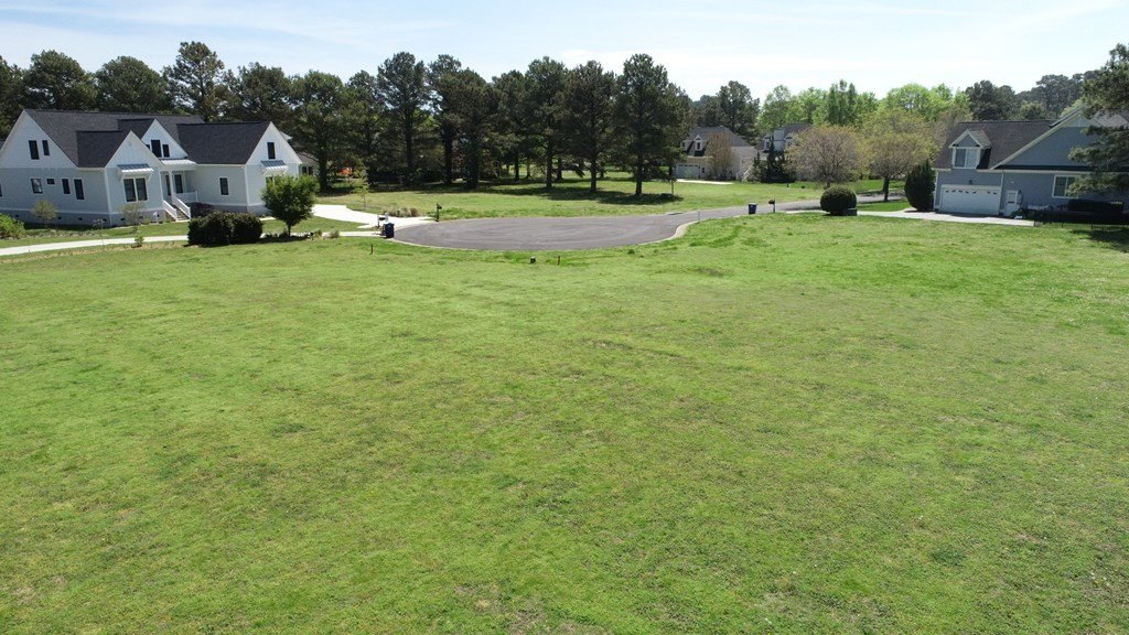 Picture 10