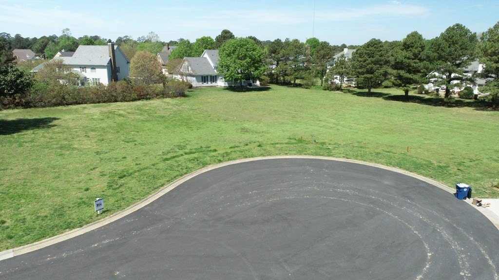 Picture 8