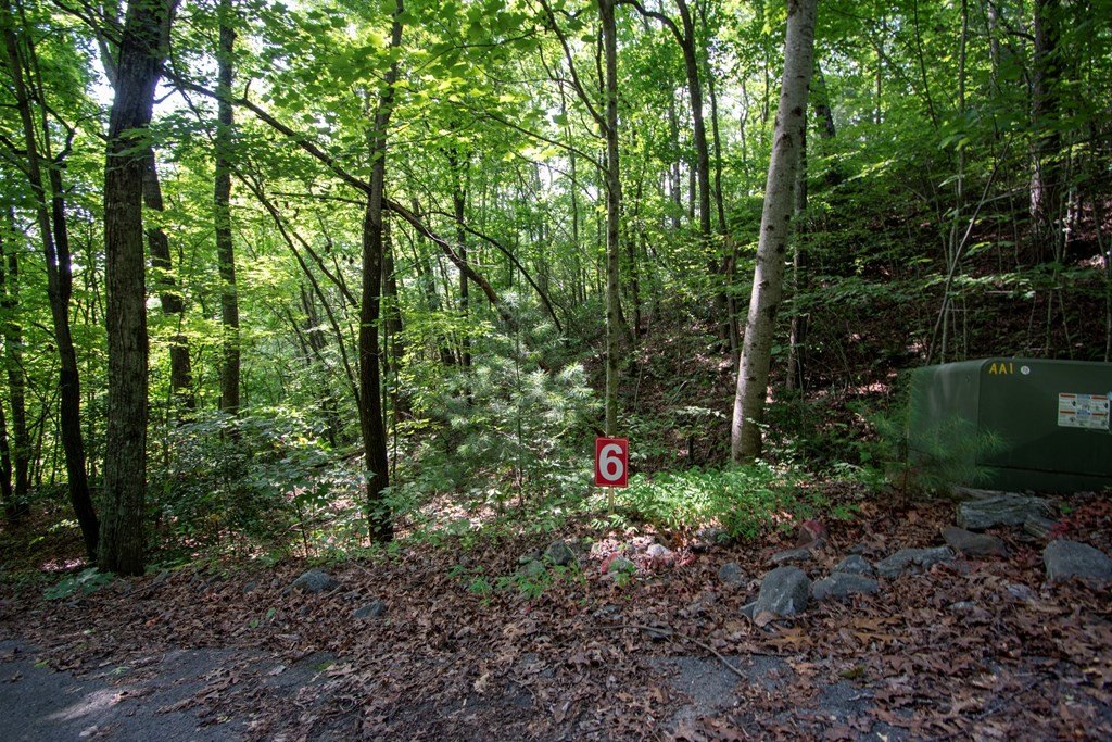 Picture 29