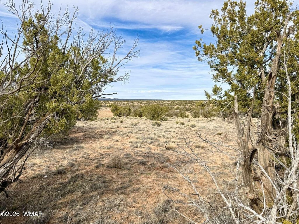 Picture 20